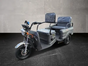 CARGO RUNNER Compact Rikscha in grau - Vorderansicht